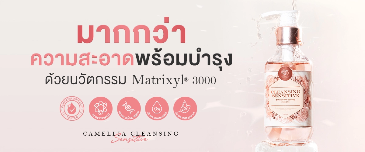 camellia cleansing - ส่วนที่ 3.2